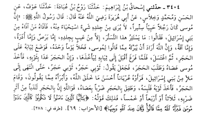 Study Quran P2 1